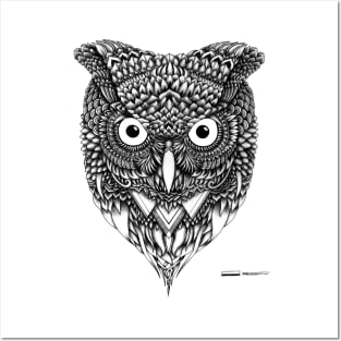 owl Posters and Art